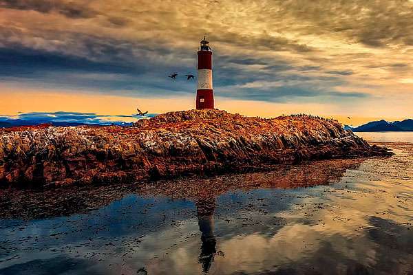 Observación de fauna marina en la Patagonia desde el Celebrity Cruise