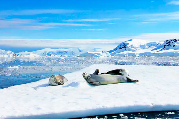 Exploring the Antarctic coast aboard the Norwegian Star