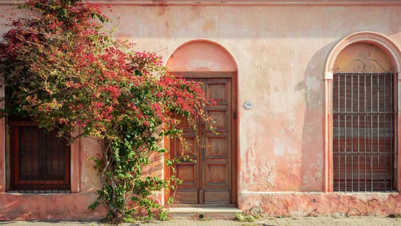 3 Sumérgete en un Tour a Colonia, Patrimonio de la Humanidad por UNESCO, con su arquitectura histórica