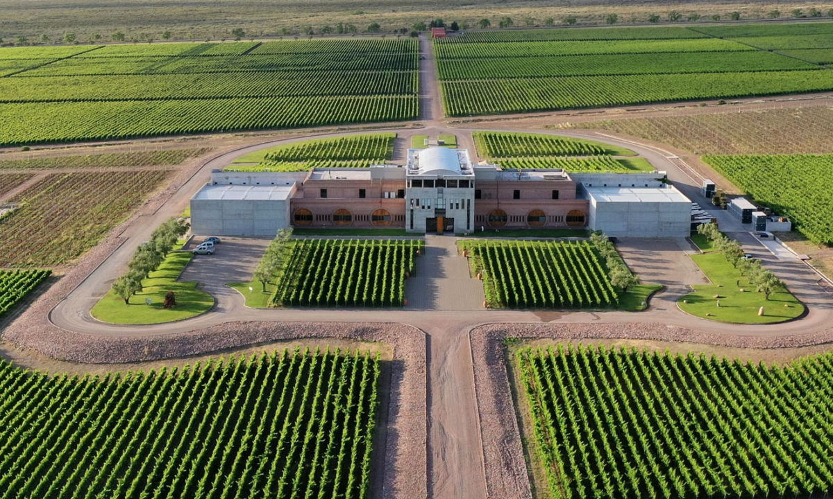 6 Vive una experiencia única con nuestro tour de lujo en Mendoza