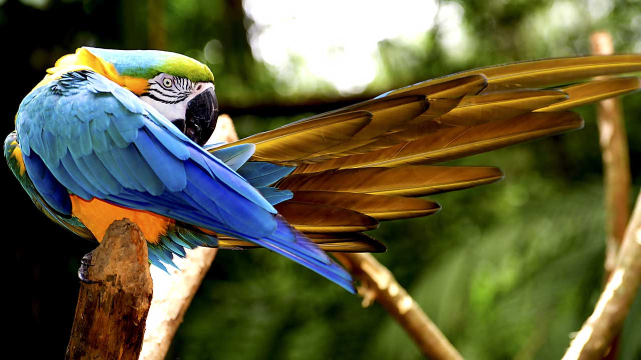 3 Dive into Iguazú Deluxe: an exclusive journey combining thrilling adventures, authentic culture, and stunning landscapes.